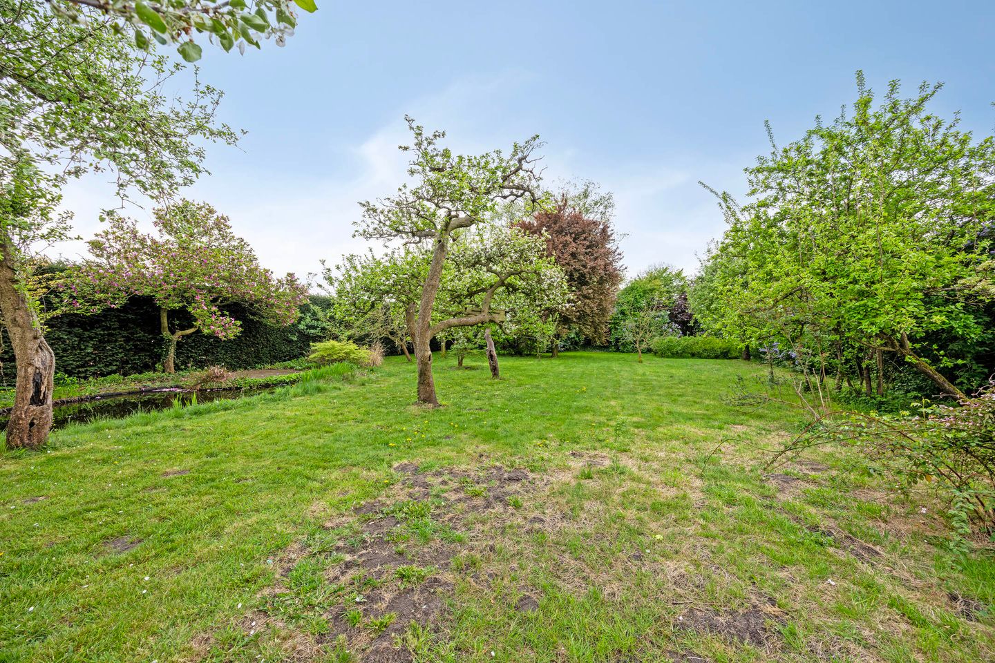 Photo 44 of Pastoriestraat 4