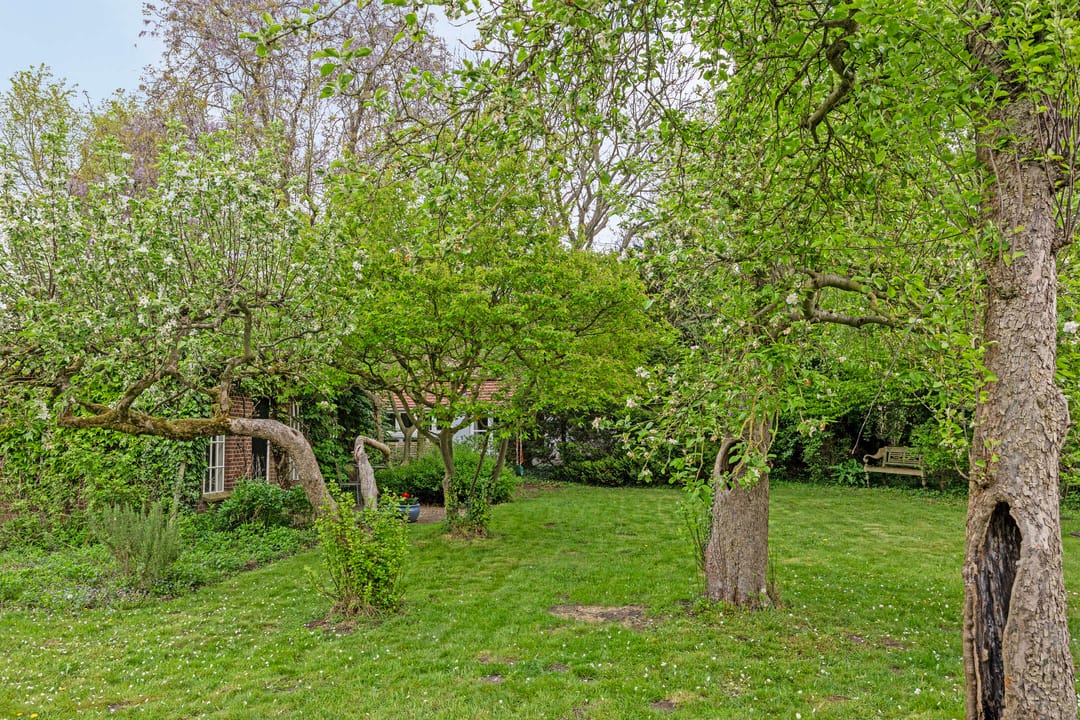 Photo 46 of Pastoriestraat 4