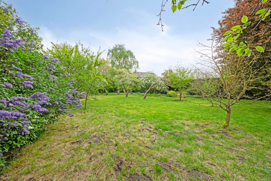 Photo 47 of Pastoriestraat 4