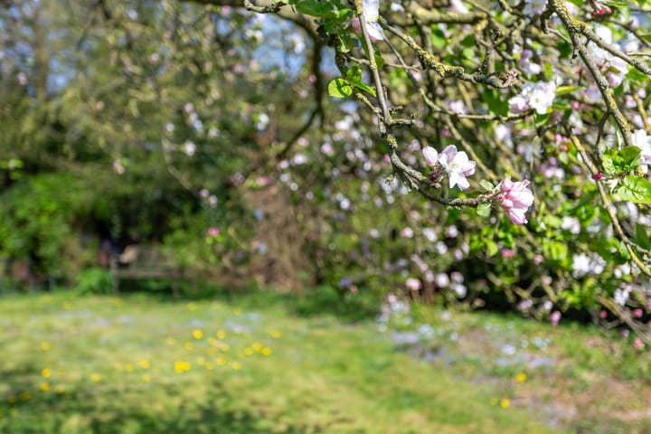 Foto 55 van Pastoriestraat 4