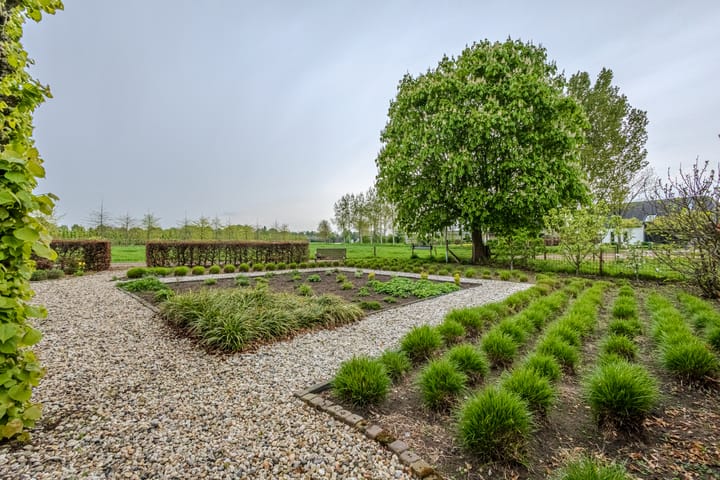 Foto 62 van De Bocht 4