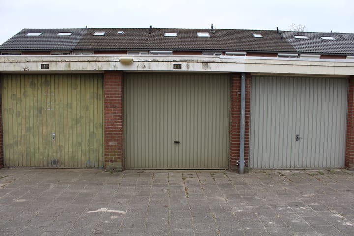 Malvert 3107