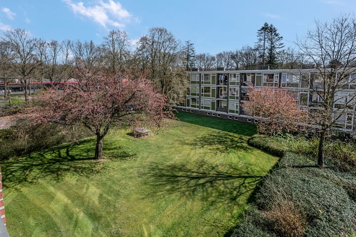 Foto 3 van De Zoom 15