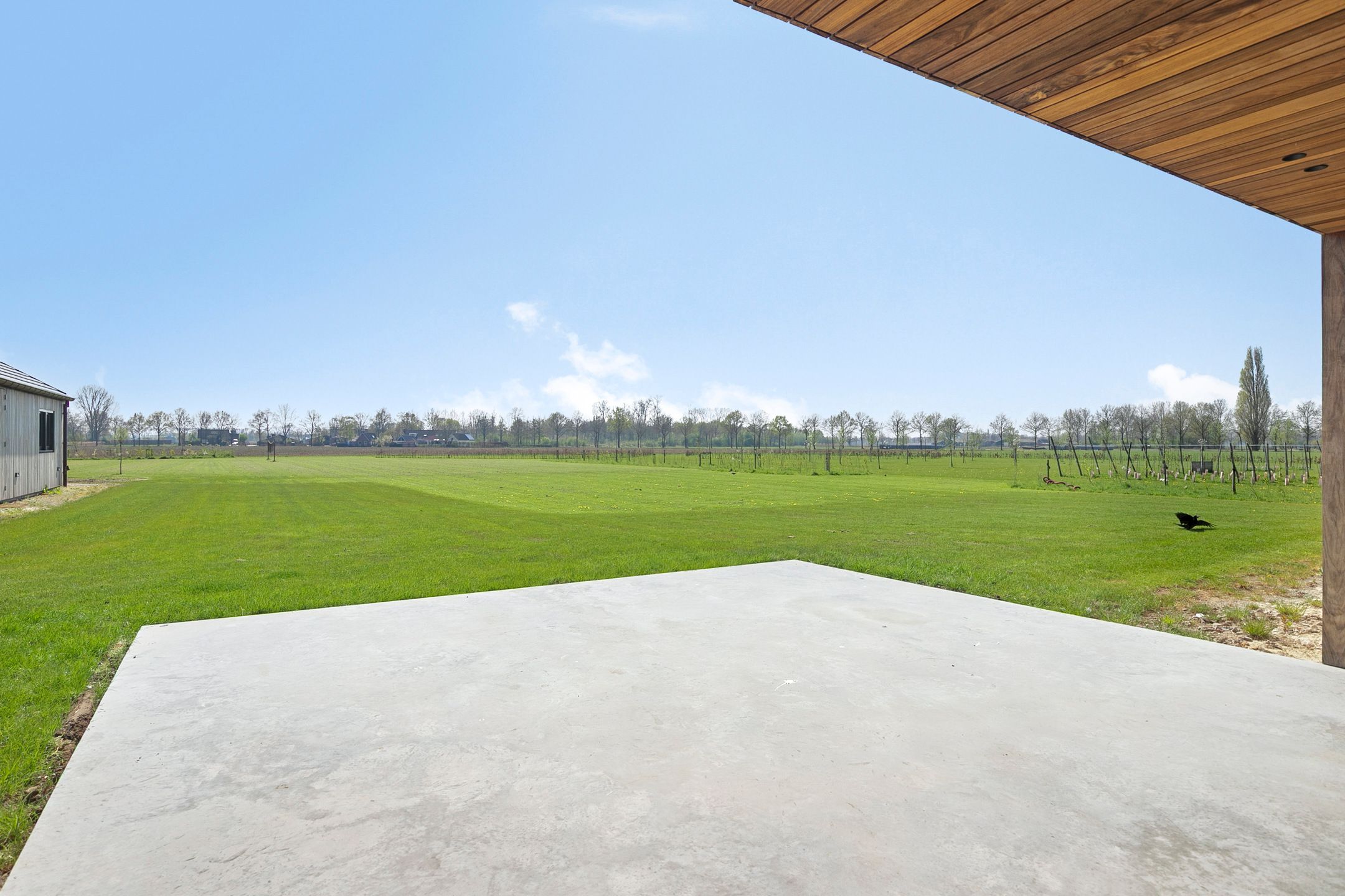 Foto 69 van Wijnboomlaan 20