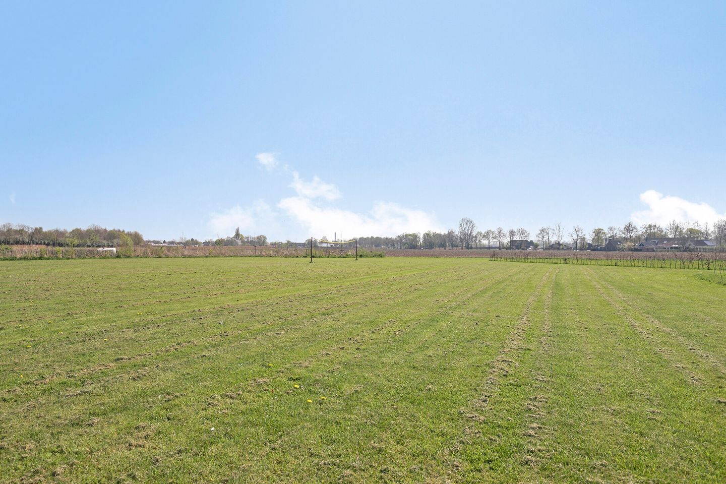 Foto 70 van Wijnboomlaan 20