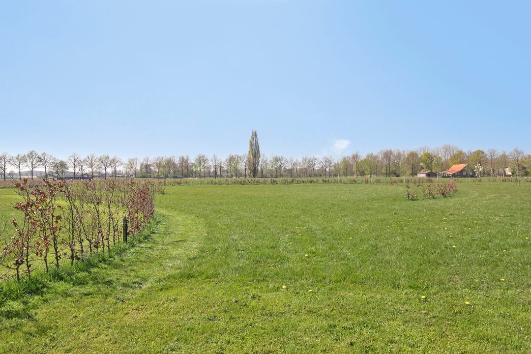 Foto 82 van Wijnboomlaan 20