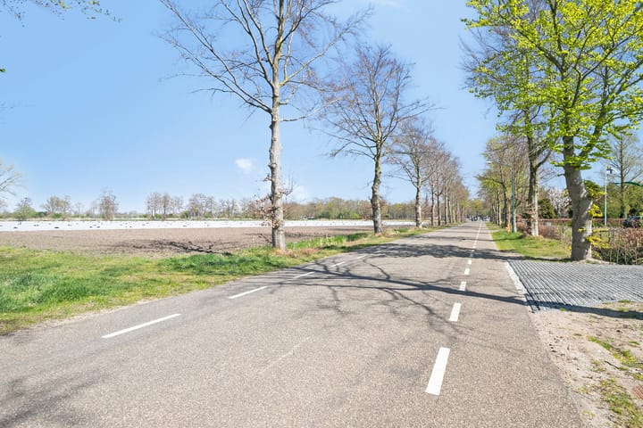 Foto 90 van Wijnboomlaan 20