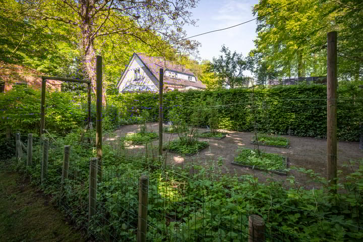 Foto 49 van Laan van Borgele 106