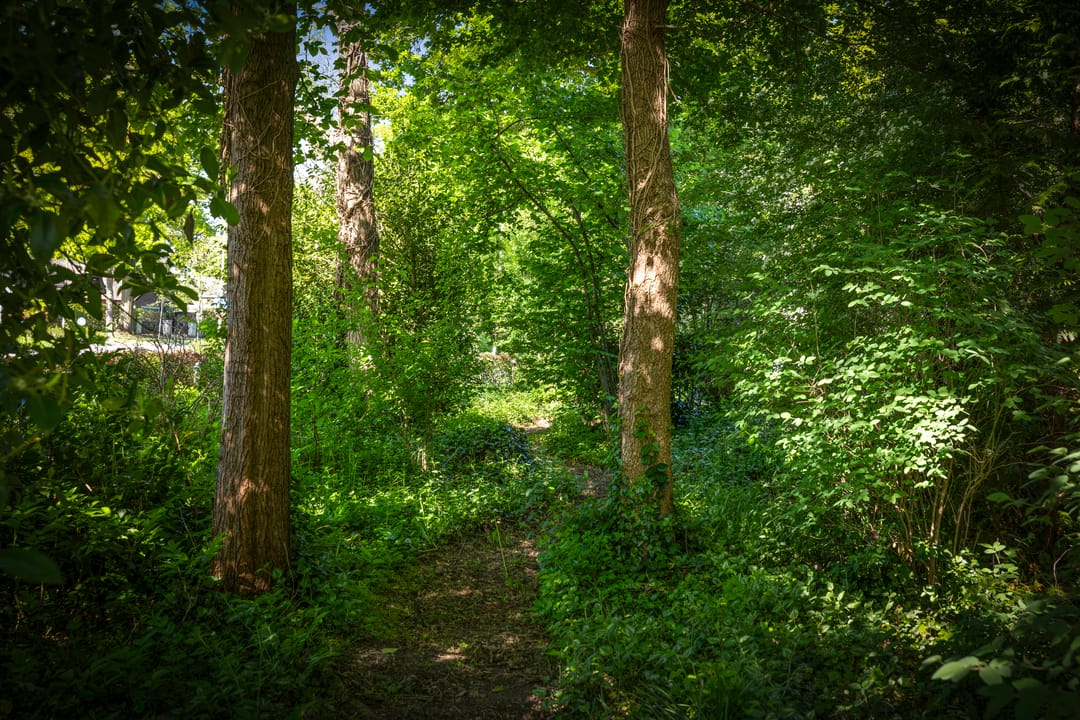 Photo 52 of Laan van Borgele 106