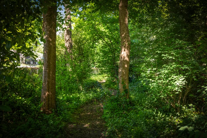 Foto 52 van Laan van Borgele 106