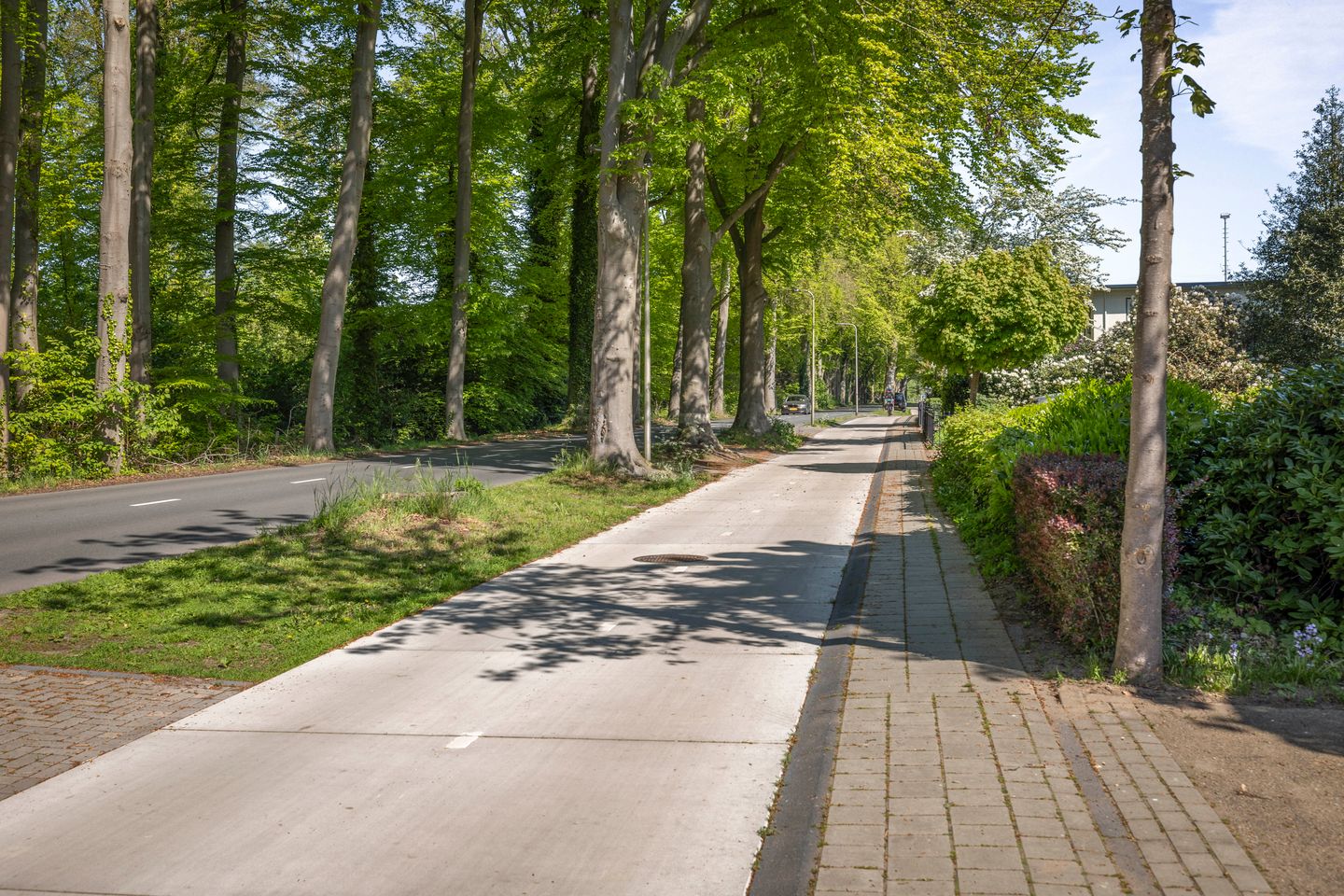 Photo 64 of Laan van Borgele 106