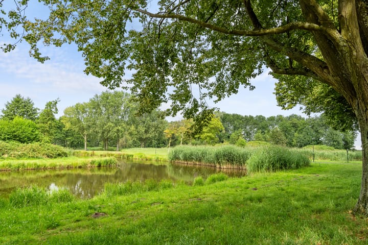 Foto 38 van Leon van Heilstraat 30