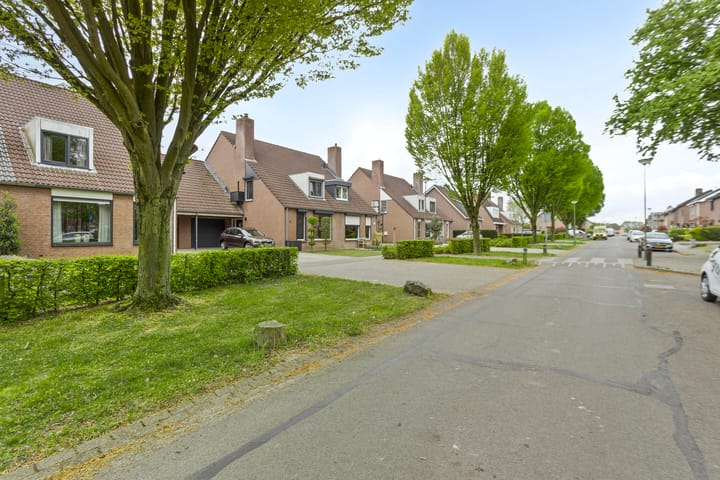 Foto 4 van Zwarte Graaf 38