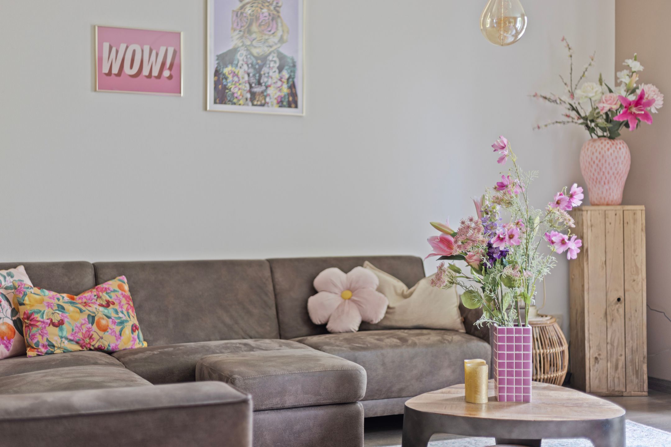 Foto 9 van Zwarte Graaf 38