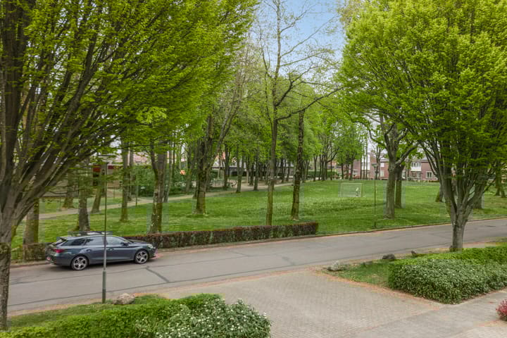 Photo 45 of Zwarte Graaf 38