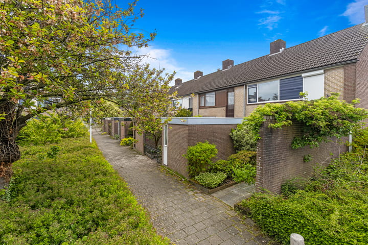 Foto 4 van Domela Nieuwenhuisstraat 12