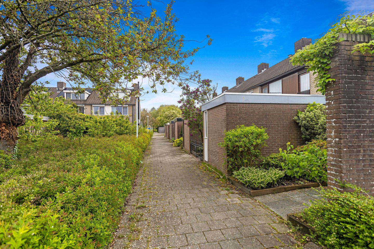 Foto 5 van Domela Nieuwenhuisstraat 12