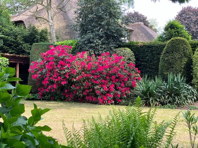 Foto 54 van Beatrixlaan 25