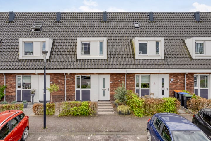 Foto 1 van Hemsink 53