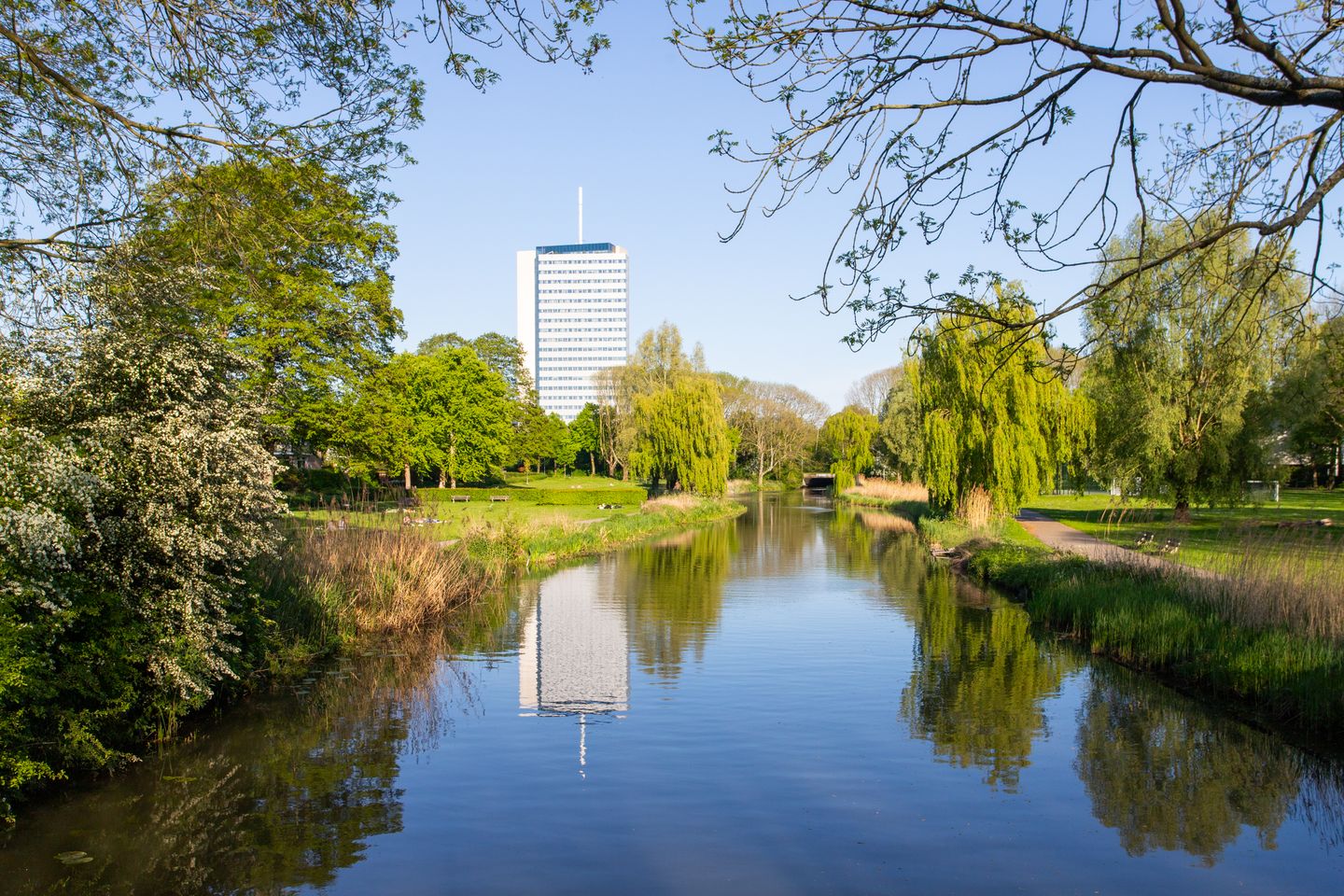 Photo 25 of Adriaen van Ostadelaan 155-4