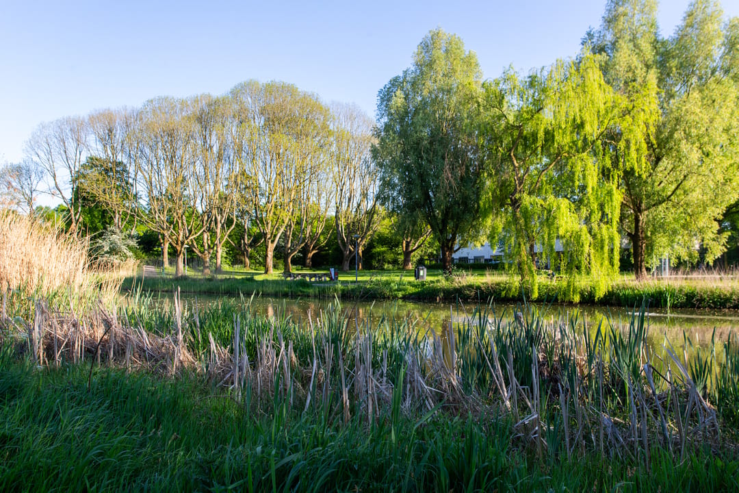 Photo 26 of Adriaen van Ostadelaan 155-4