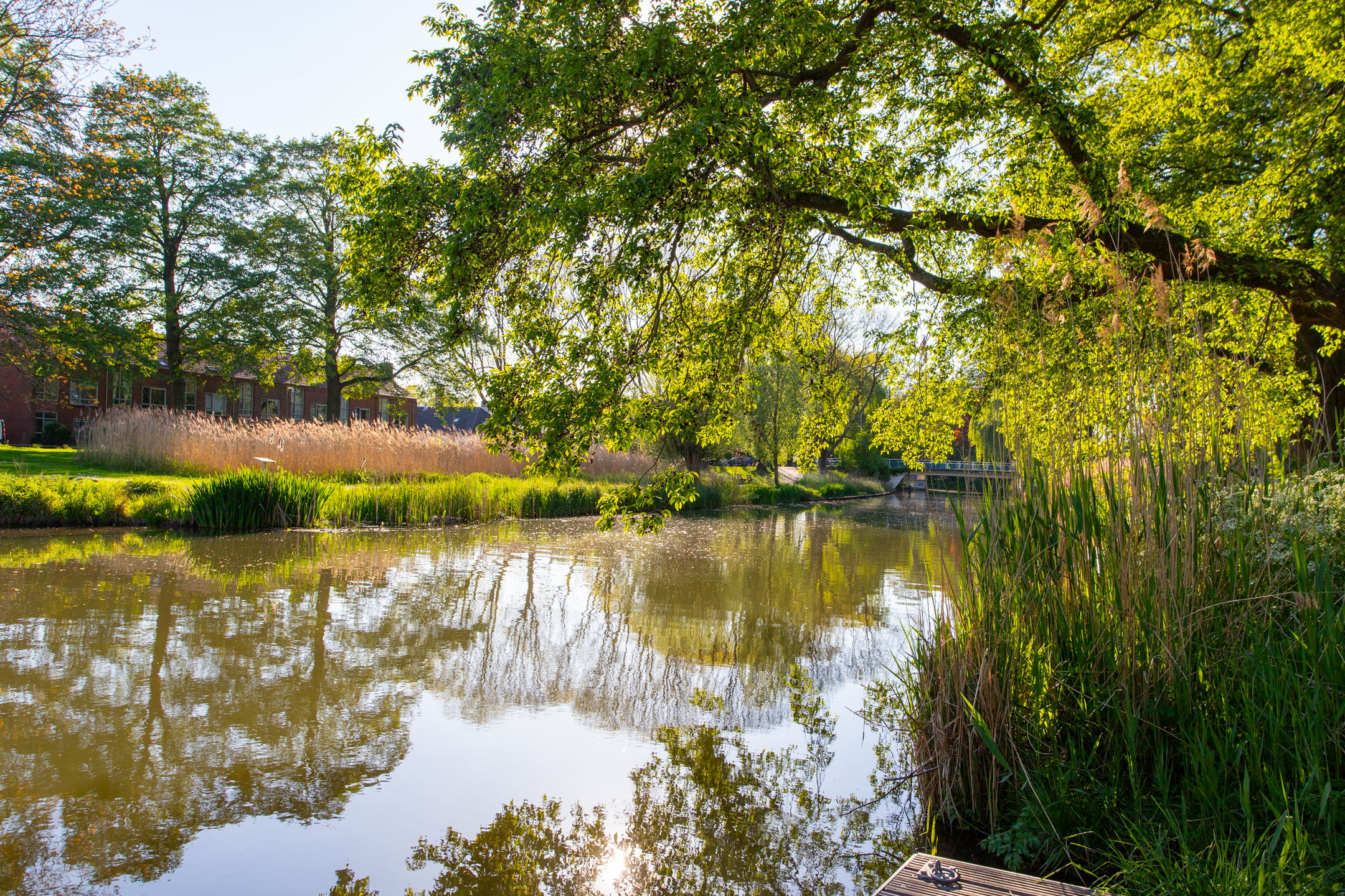 Photo 27 of Adriaen van Ostadelaan 155-4