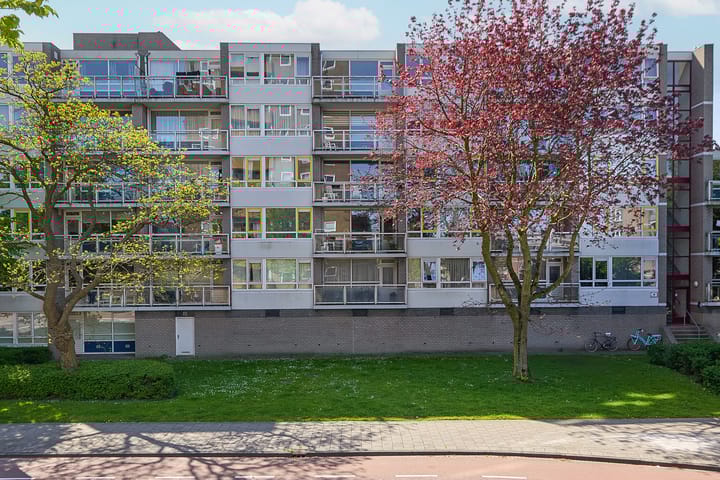 Foto 11 van Madridplantsoen 129