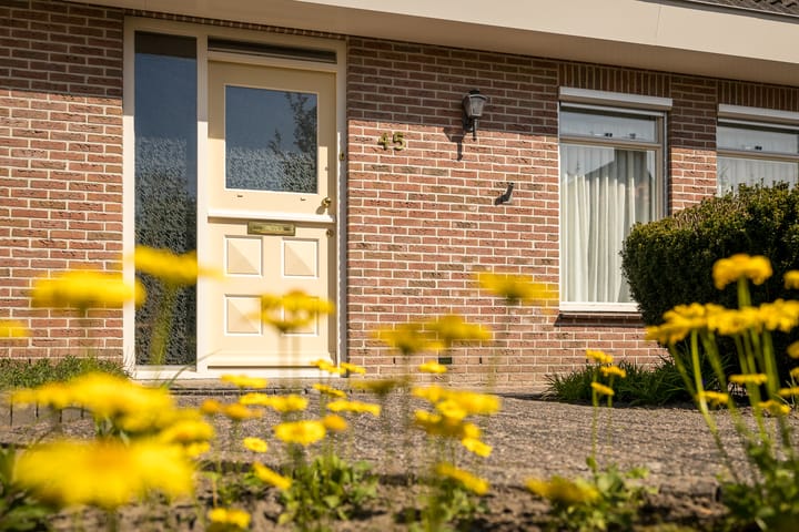 Foto 7 van De Roos 45