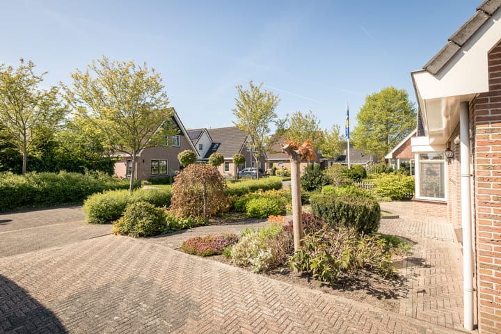 Foto 6 van De Roos 45