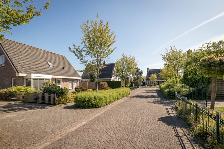 Foto 40 van De Roos 45