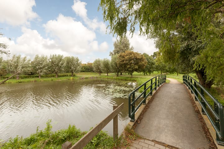 Foto 41 van De Roos 45