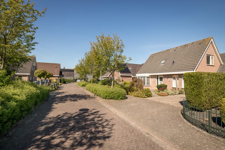 Foto 39 van De Roos 45