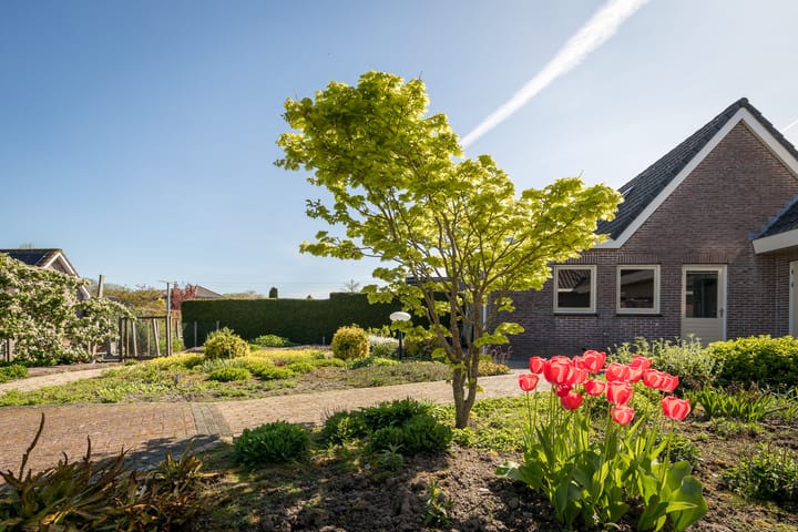 Foto 37 van De Roos 45