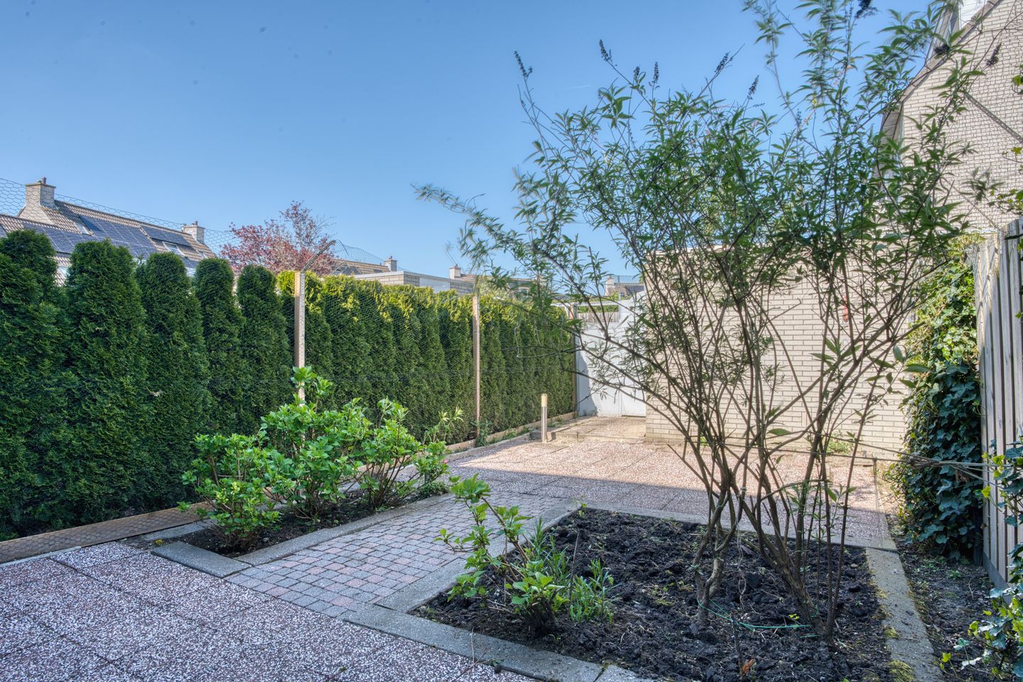 Photo 34 of Abdij 50