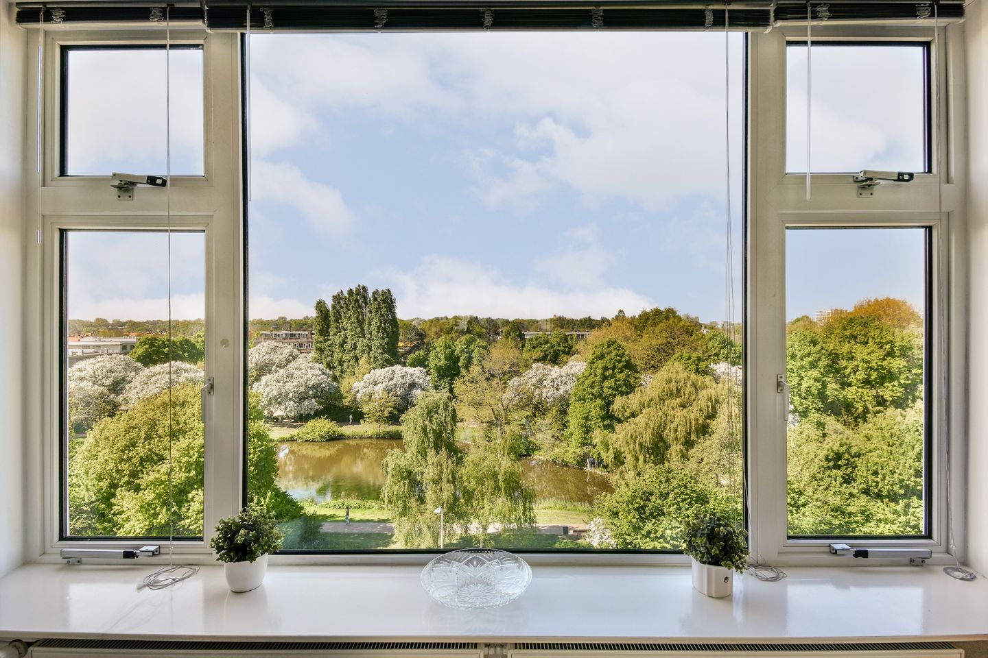 Foto 10 van Segbroeklaan 364