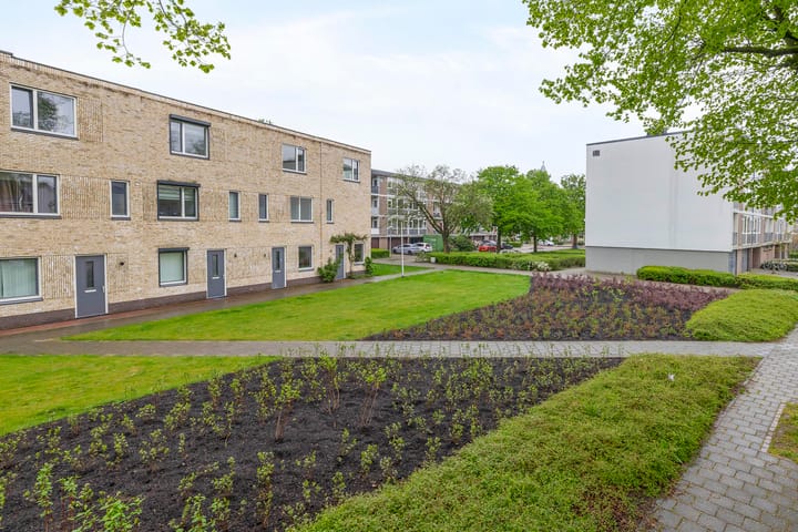 Foto 38 van Kees de Beverpad 12