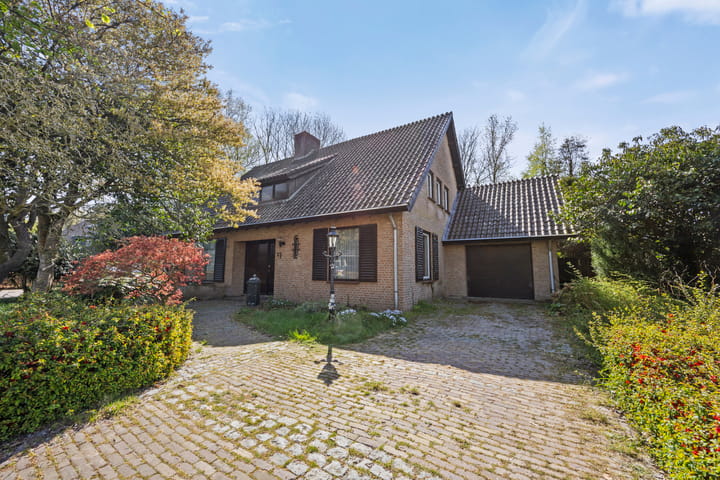 undefined main image