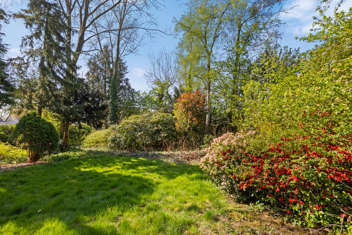 Photo 37 of De Watersnip 27