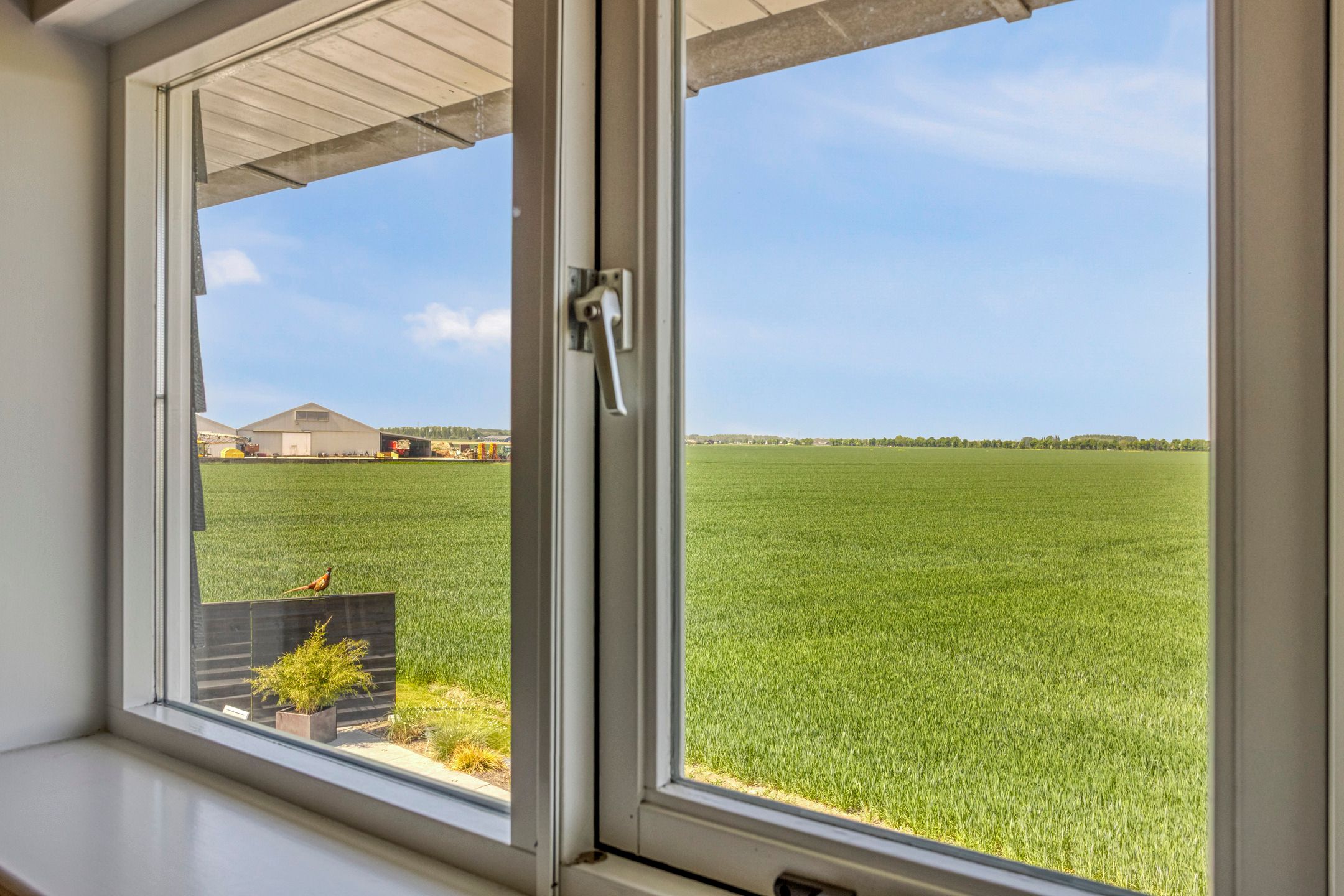 Foto 39 van Middelsluissedijk WZ 20