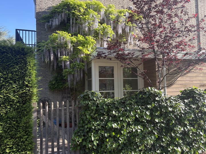 Foto 19 van Cannenburg 66