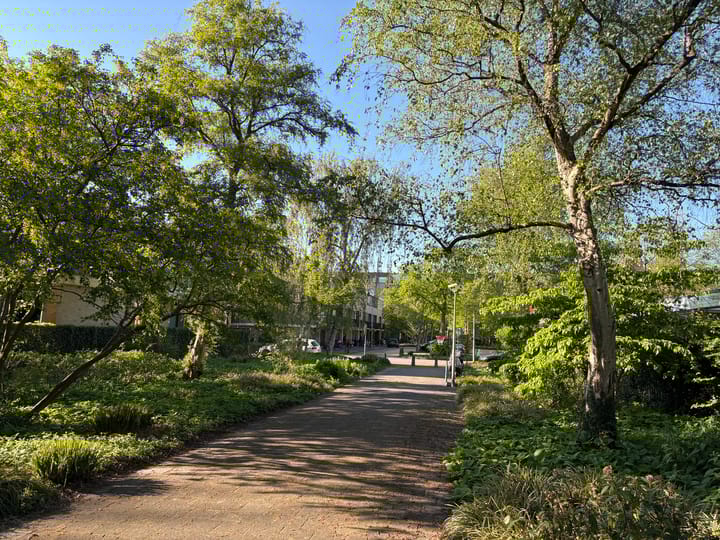 Foto 45 van Cannenburg 66