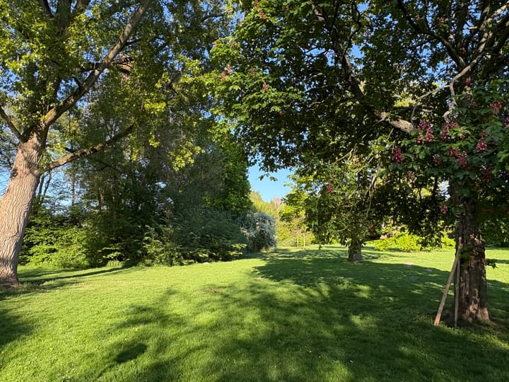 Foto 46 van Cannenburg 66