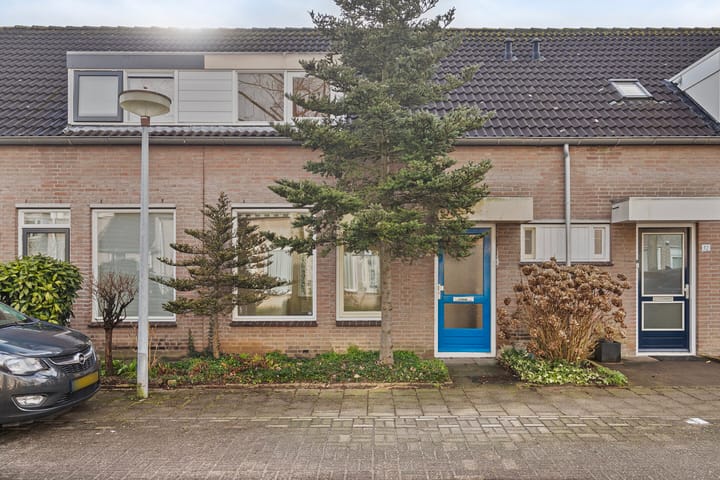 undefined main image