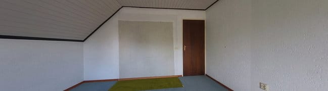 foto8
