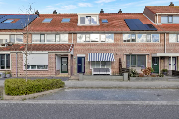 undefined main image