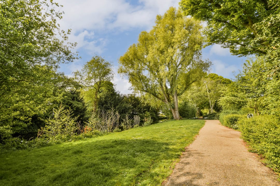 Foto 37 van Jacob de Graeflaan 79