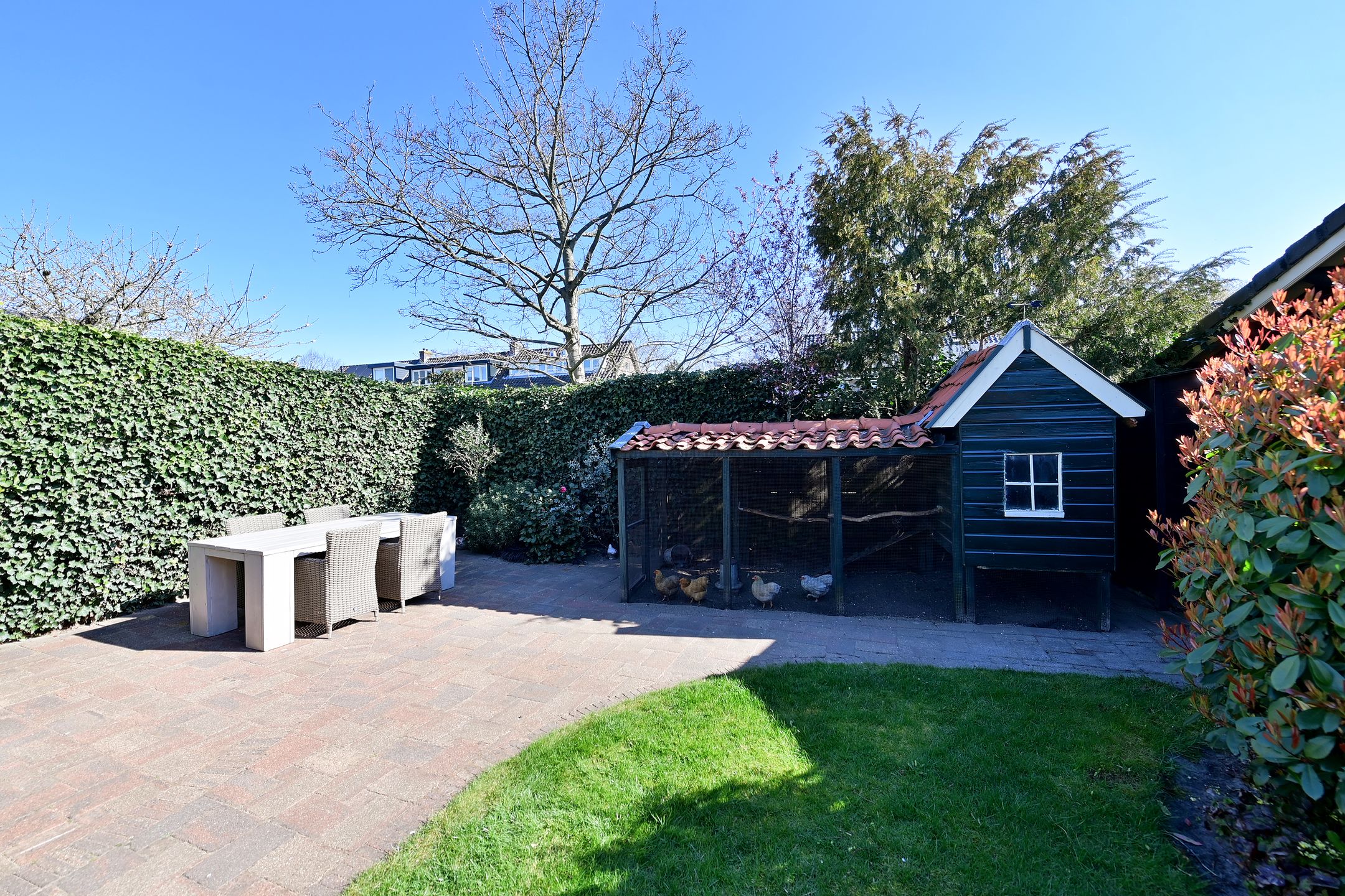 Photo 21 of Valkenaarstraat 113