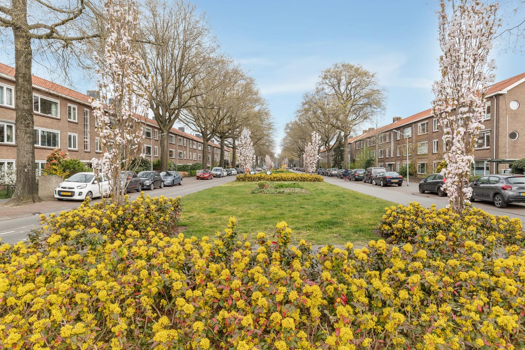 Photo 23 of Vingboonsstraat 9-A