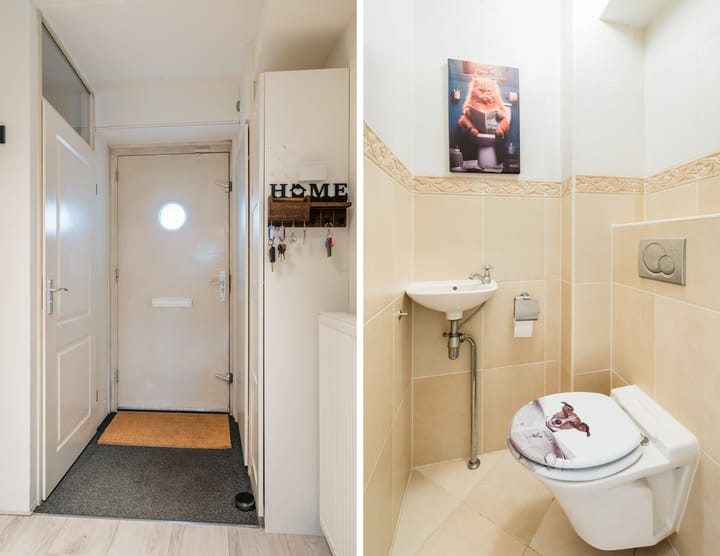 Foto 17 van Vrouwenmantel 47