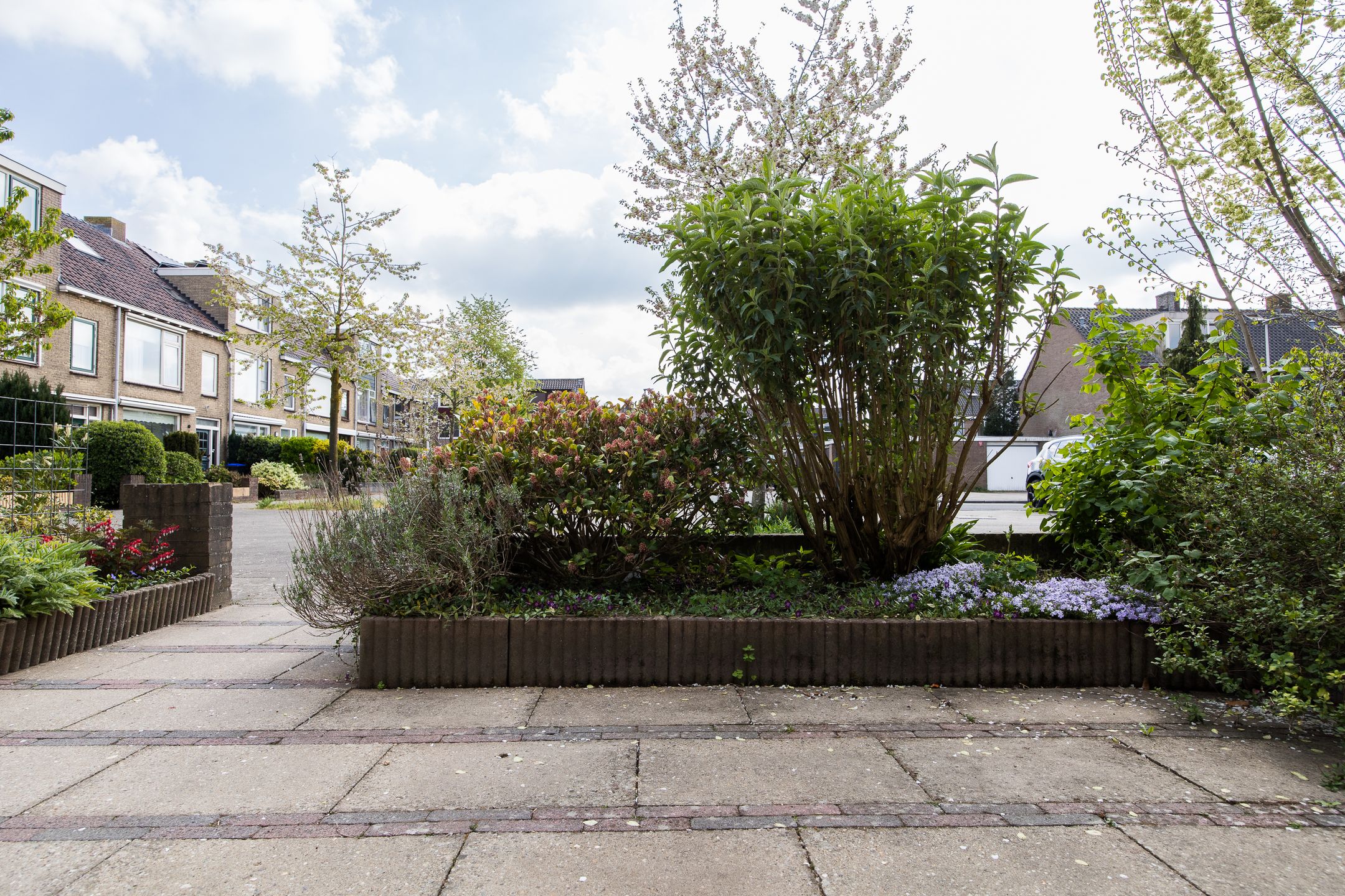 Photo 45 of La Traviatadreef 10